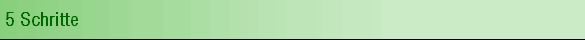 5 Schritte